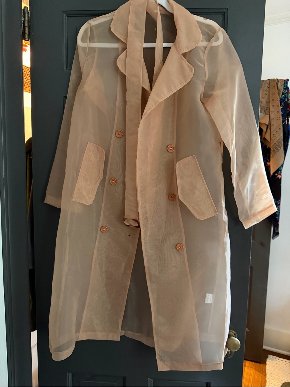 Sheer Beige Tie-Belt Trench Coat